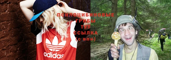 метадон Няндома