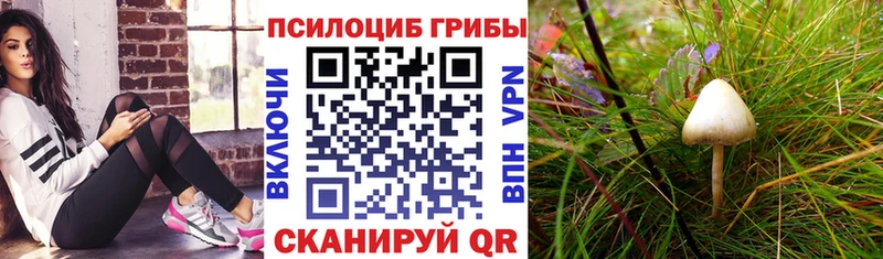 Галлюциногенные грибы Magic Shrooms  Тавда 