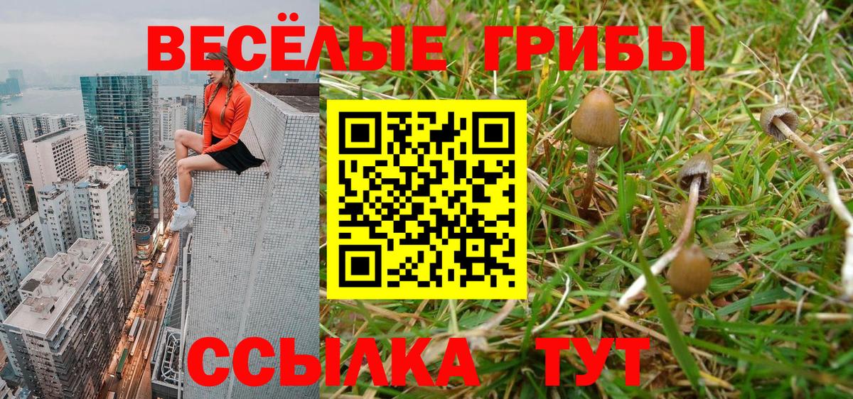 Псилоцибиновые грибы мицелий  Вход с VPN  Тавда 