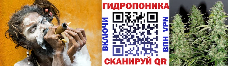 Канабис MAZAR Тавда